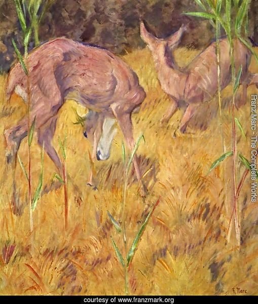 Deer in the reed