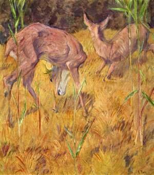Deer in the reed