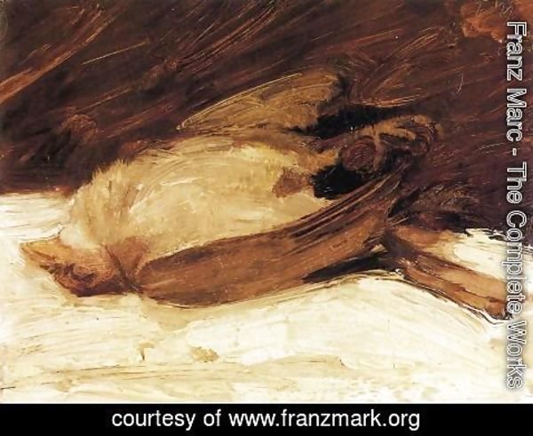 Franz Marc - The Dead Sparrow