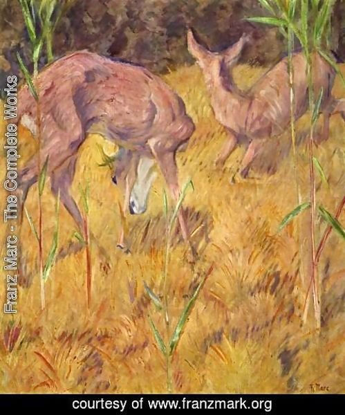 Franz Marc - Deer in the reed